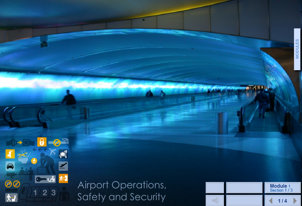 Elearning course. Client: IAP (International Airport Professional)
