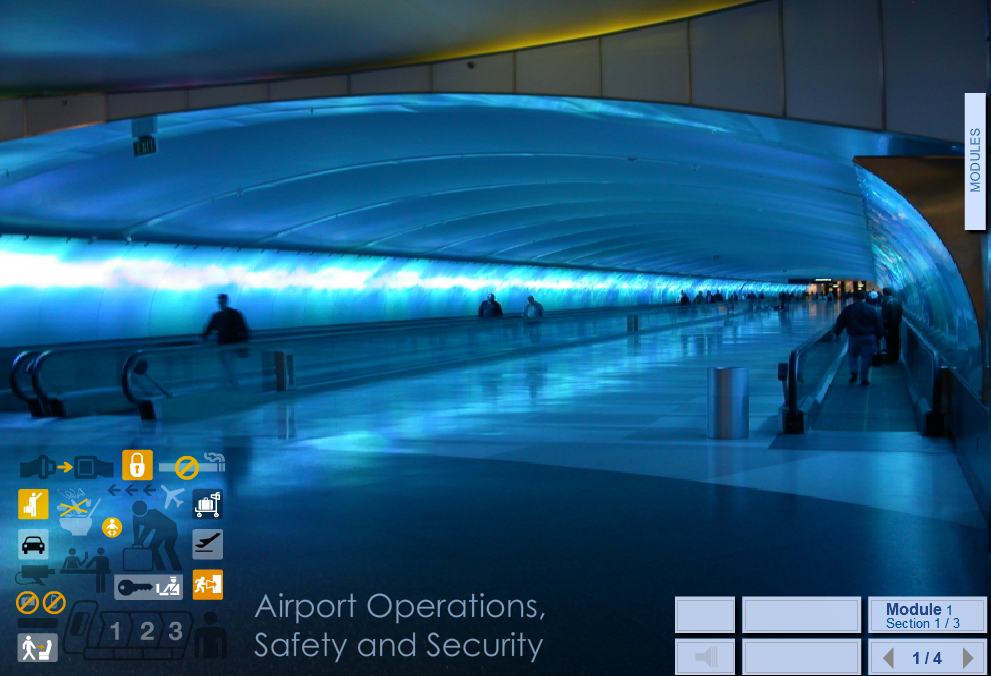 Cours en ligne. Client : IAP (International Airport Professional)